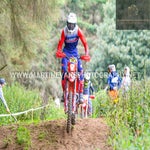 gbi_7664-standard.jpg