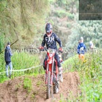 gbi_7683-standard-c6aiyn.jpg