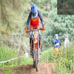 gbi_7698-standard-q248gz.jpg