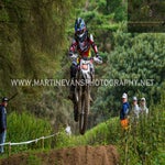 gbi_7719-standard-ibtey7.jpg