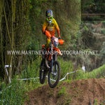 gbi_7735-standard-ippbyp.jpg