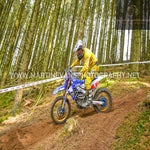 gbi_7875-standard-lmsft9.jpg