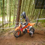 gbi_7902-standard-gr1zp7.jpg