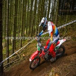 gbi_7961-standard-xtd9xo.jpg