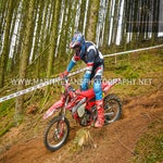 gbi_8038-standard-tcykdr.jpg