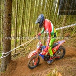 gbi_8045-standard-wyboky.jpg