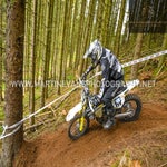 gbi_8065-standard-0jp5r3.jpg