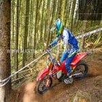 gbi_8079-standard-sxcjxl.jpg