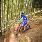 gbi_8115-standard-j123sj.jpg