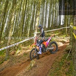 gbi_8140-standard-b6ioe5.jpg