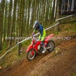 gbi_8171-standard-dxx5go.jpg