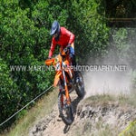 gbi_9231-standard-yphmns.jpg