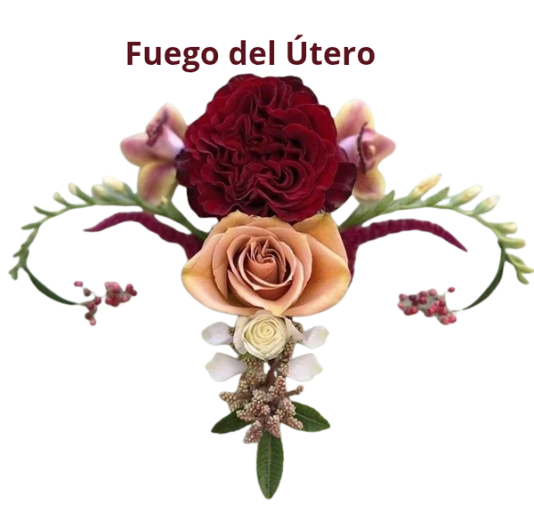 FUEGO DEL ÚTERO het vuur vd baarmoeder