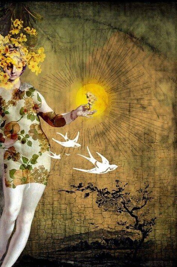 ZOMERLICHT: Voluit Stralen