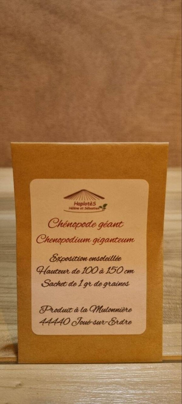 Chénopode géant