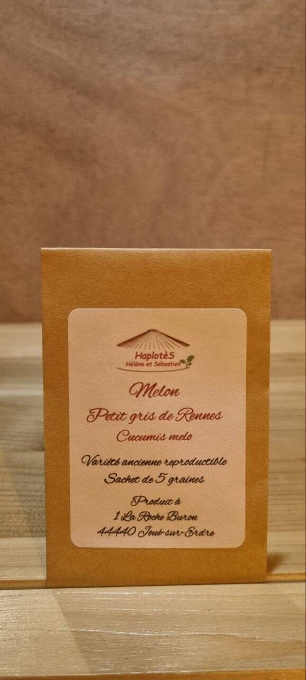 Melon petit gris de Rennes