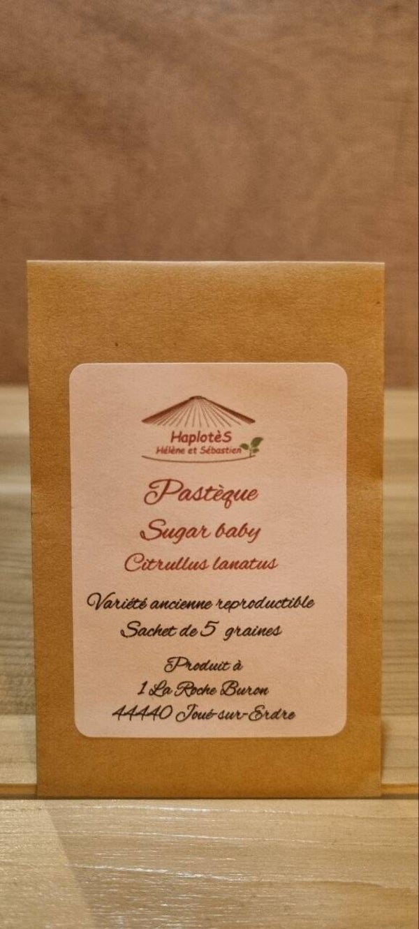 Pastèque sugar baby