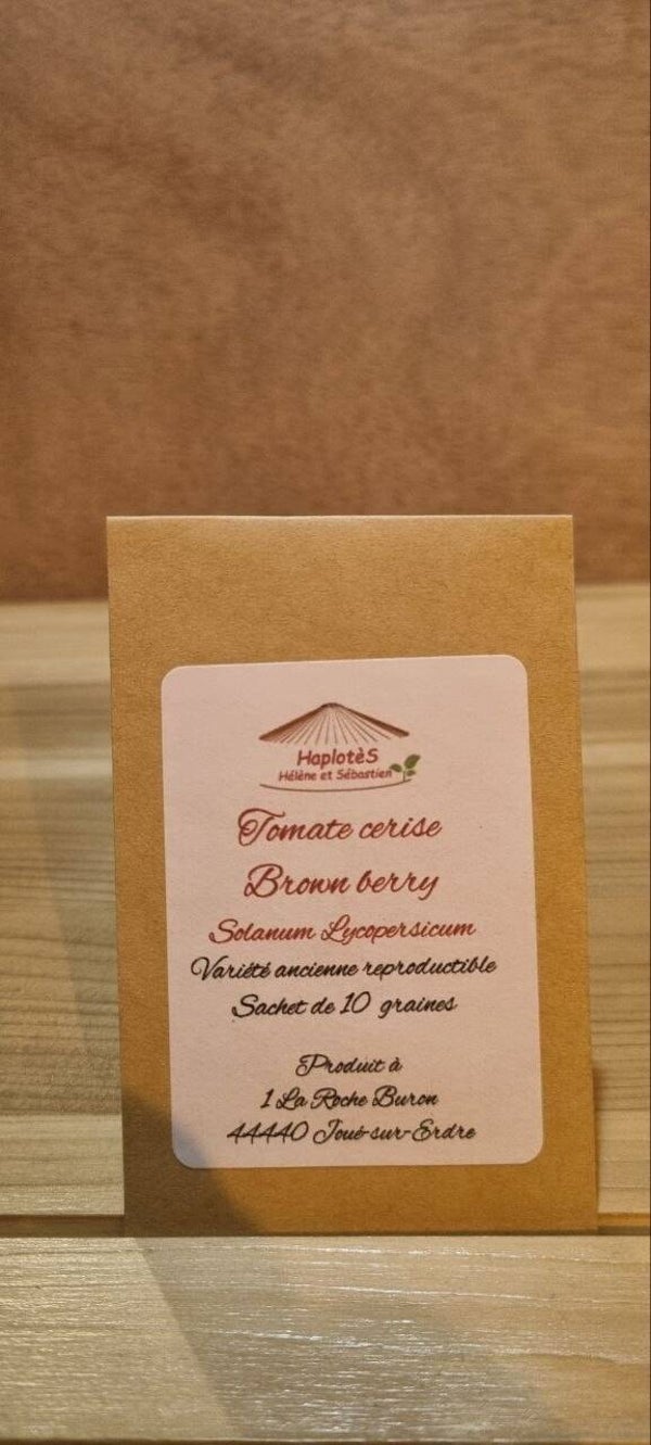 Tomate cerise brown berry