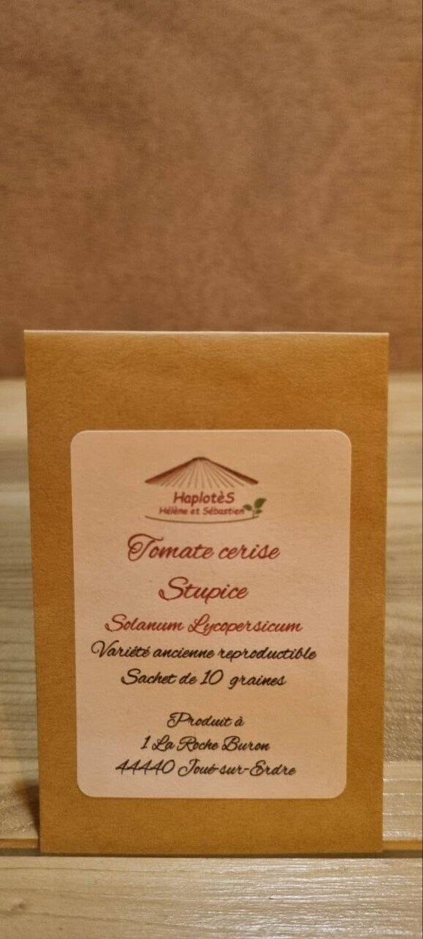 Tomate cerise stupice