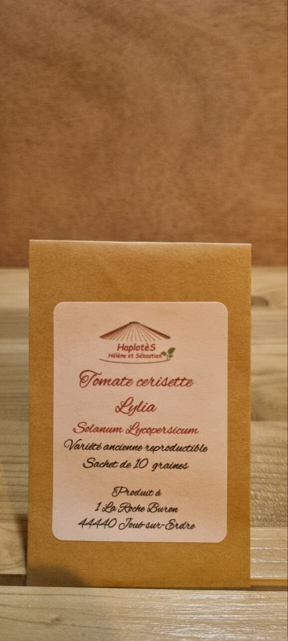 Tomate cerisette Lylia