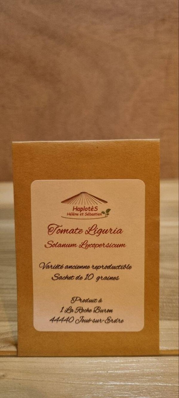 Tomate liguria