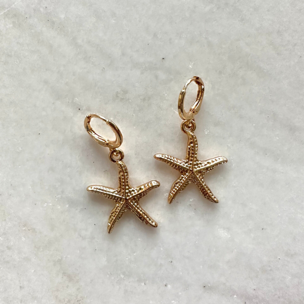 See star earrings