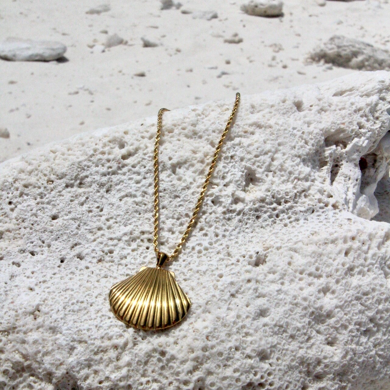 Ocean shell necklace