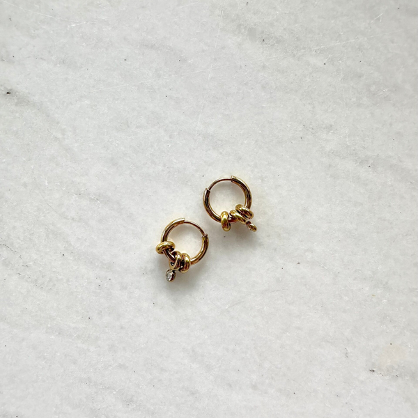 Shiny cutie earrings