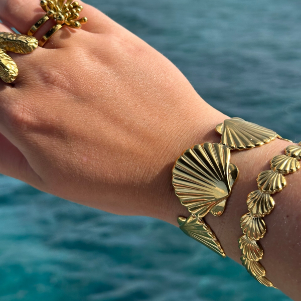 Big ocean shell