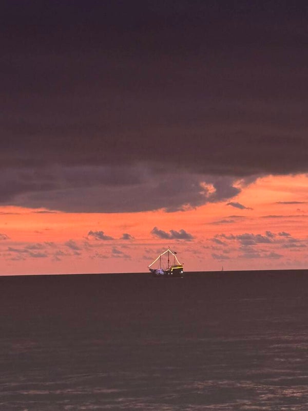 Machines Will Not Replace Us