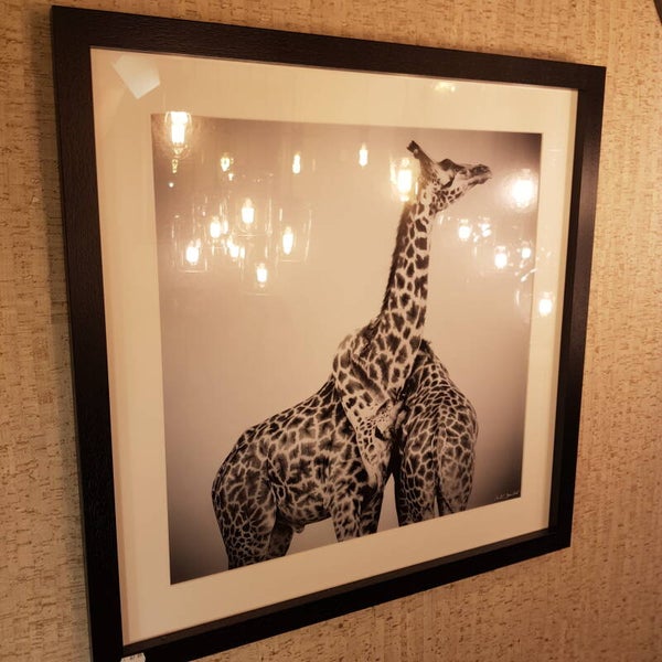 Fotokader zwarte rand 70x70