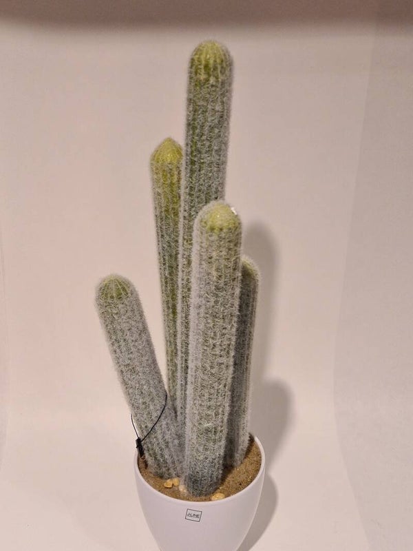 Kunstcactus 50 cm