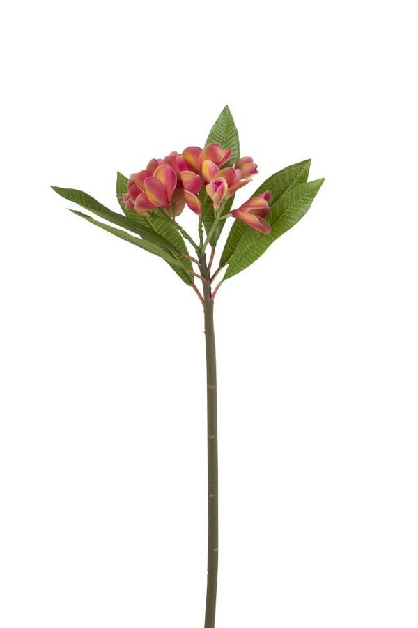Frangipani Bloem Plastiek Roze (groot)
