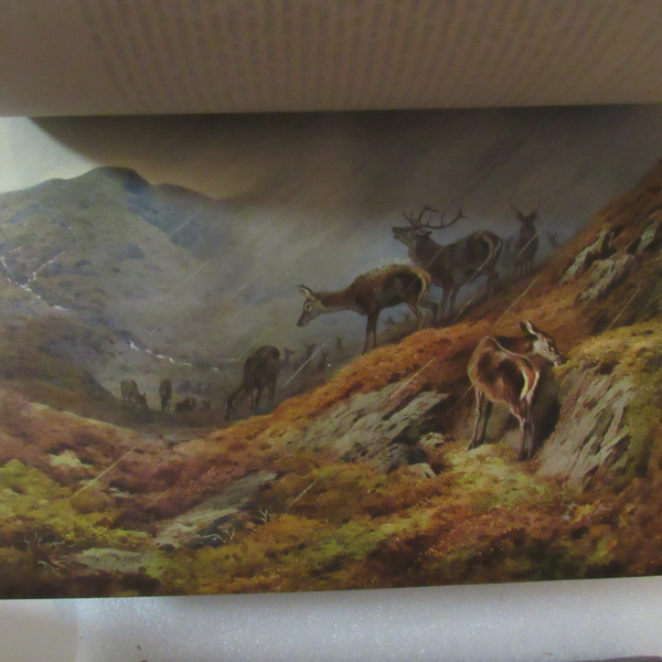 The Gun at Home and Abroad: British Deer and Ground Game