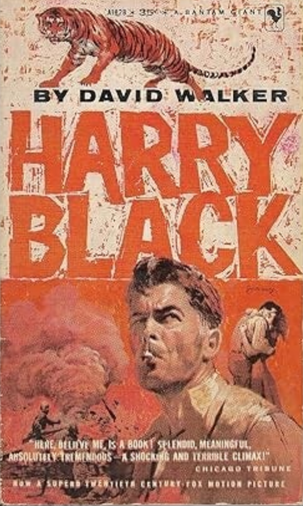 Harry Black by David Walker