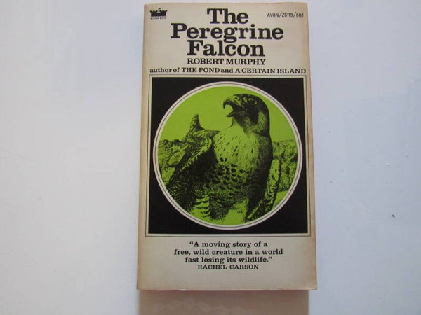 The Peregrine Falcon by Robert Murphy