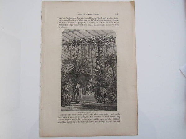 Antique Print - Conservatory