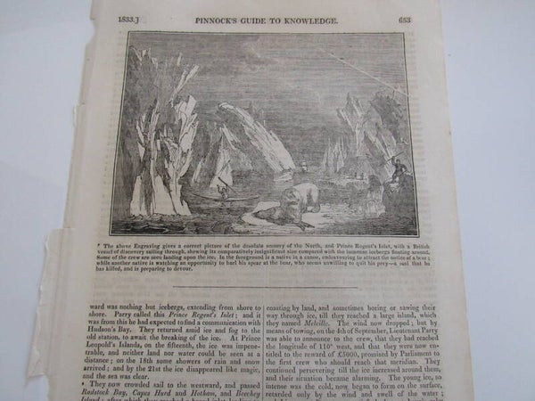 Antique Print - Scene of the Arctic (Guide to Knowledge, 1833)