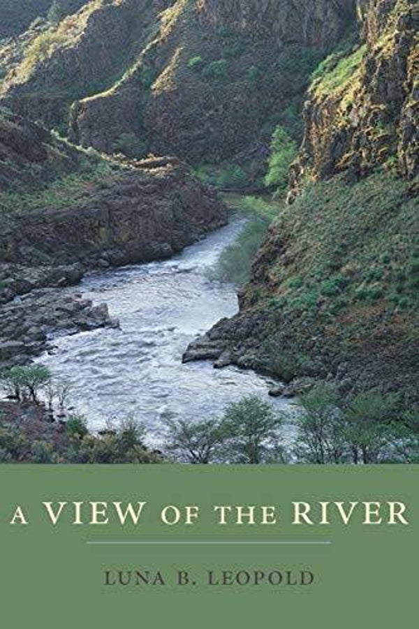 A View of the River by Luna Leopold
