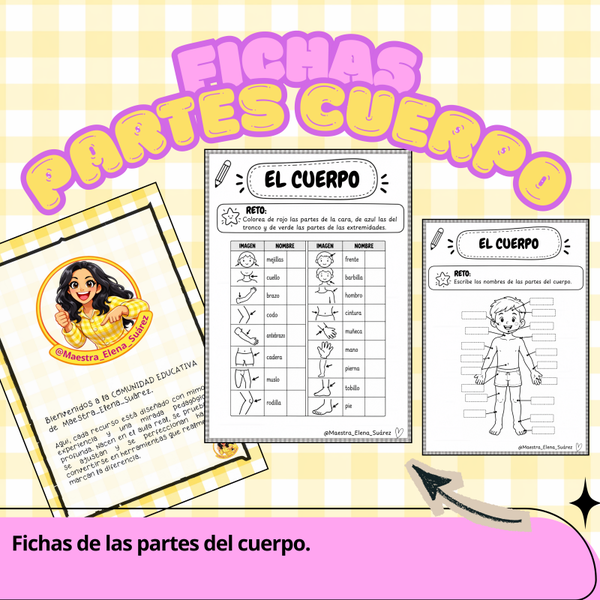 Fichas partes cuerpo