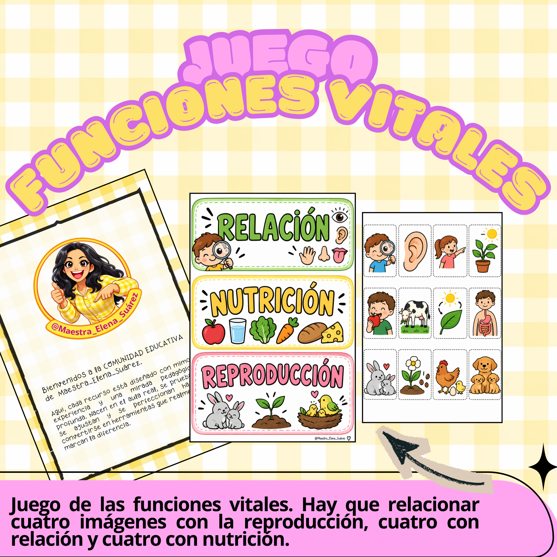 JUEGO funciones vitales