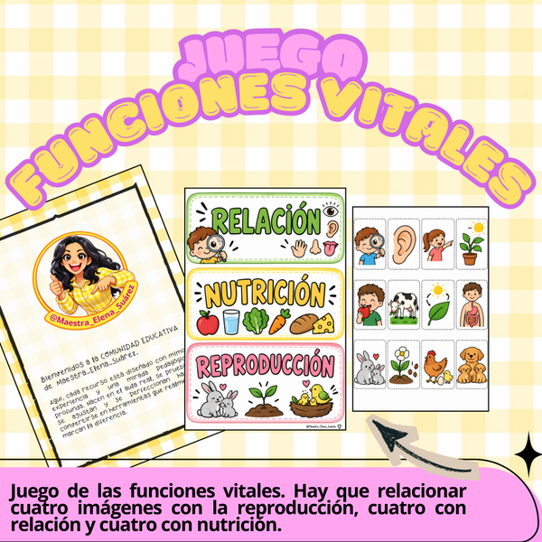 JUEGO funciones vitales