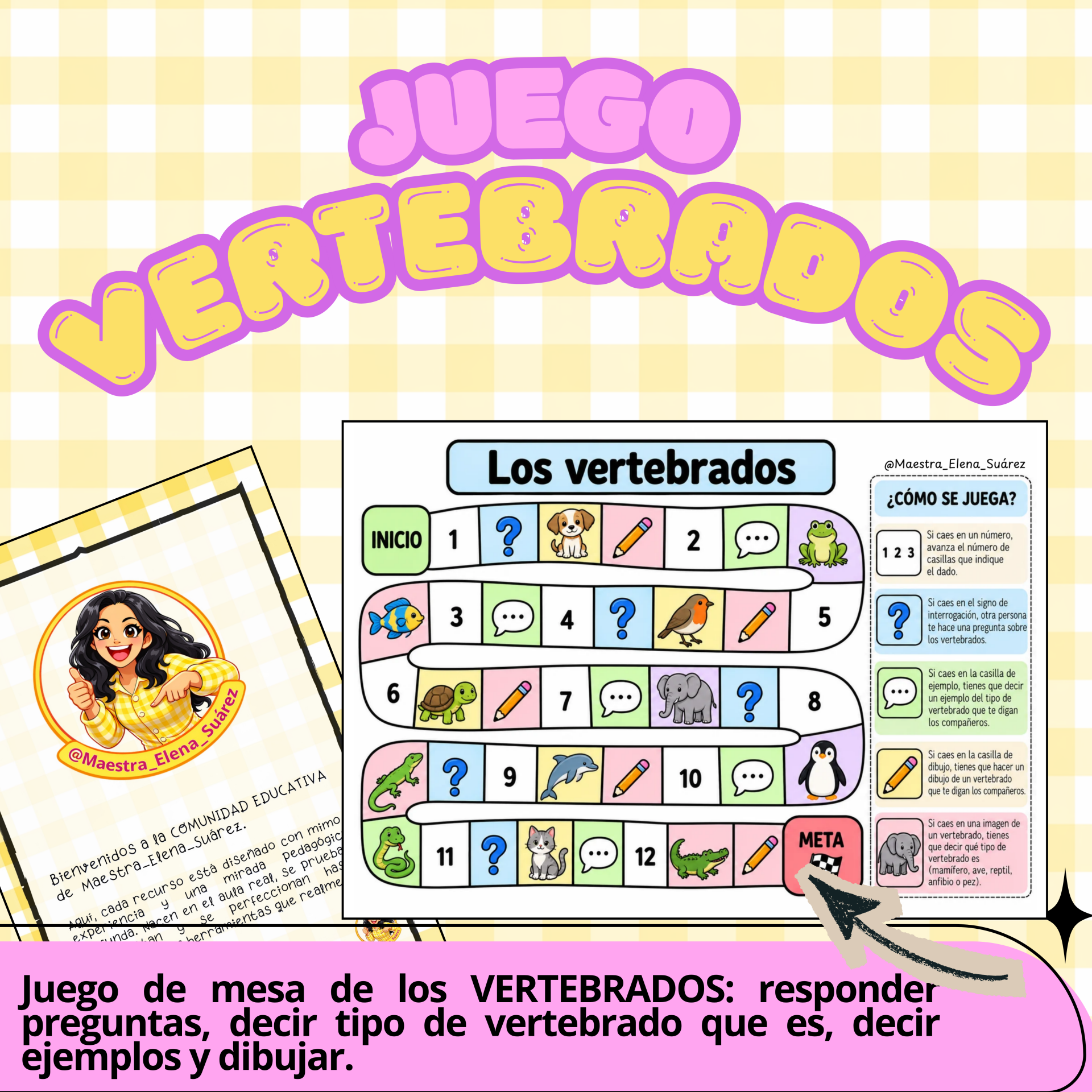 Juego VERTEBRADOS