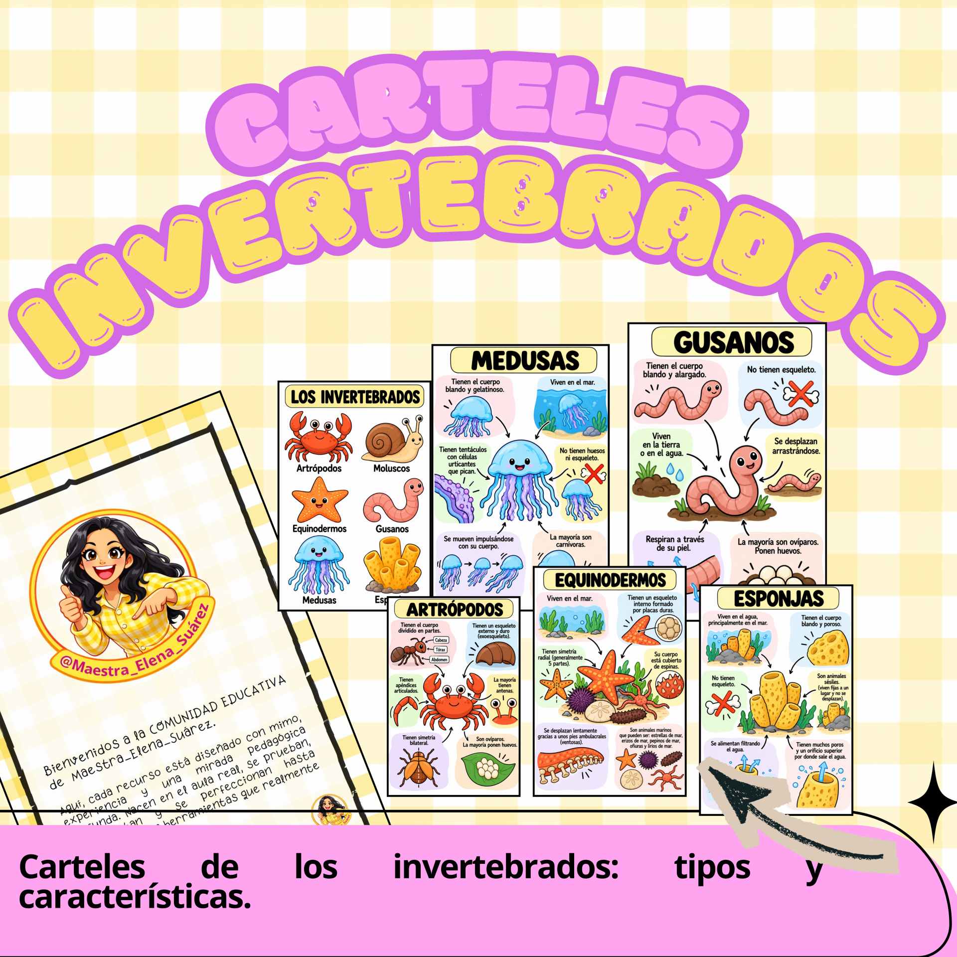 Carteles de los INVERTEBRADOS