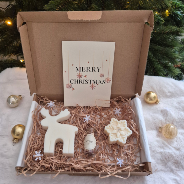 Kerst brievenbuscadeau Eland & Sneeuwvlok