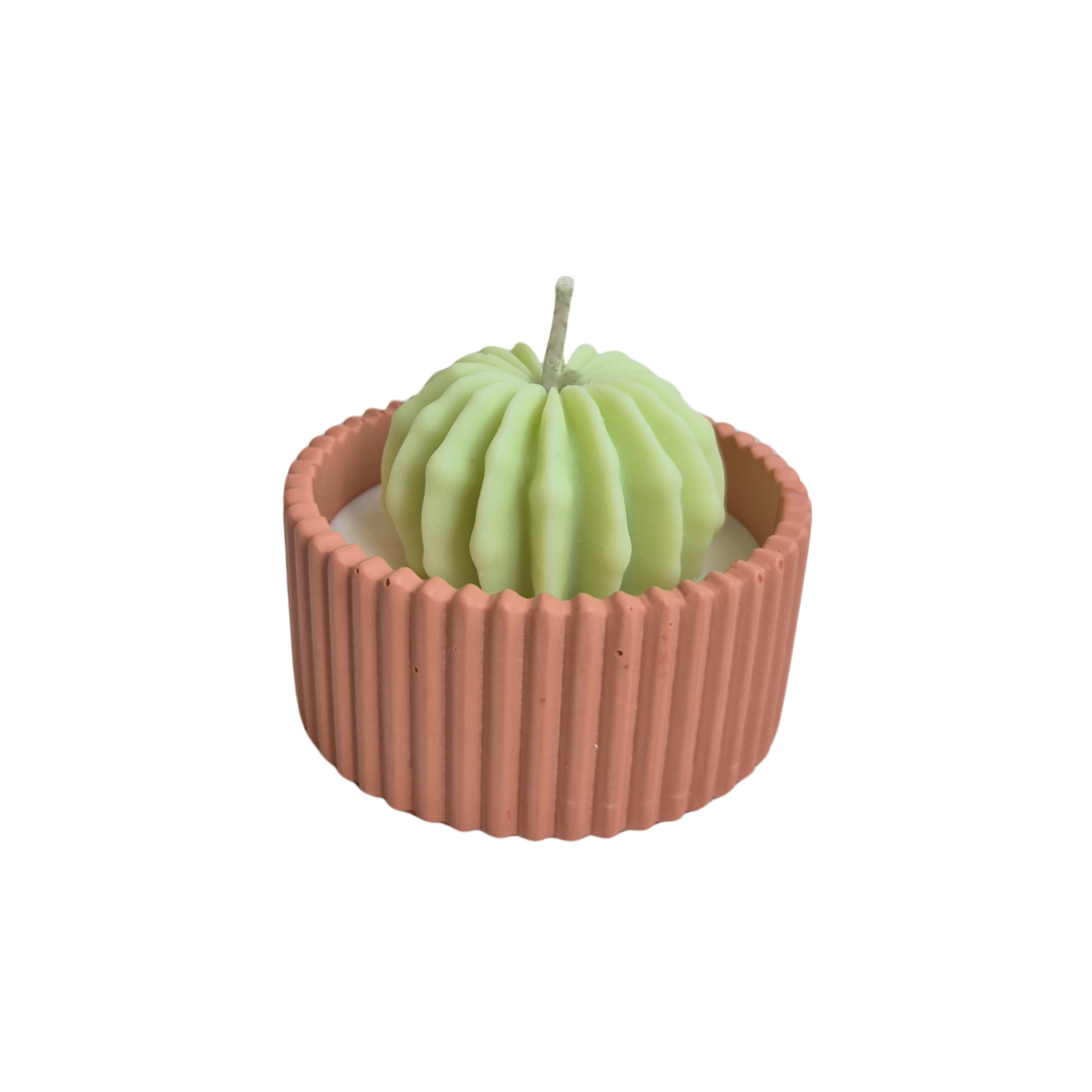 Cactustuinkaars solitair