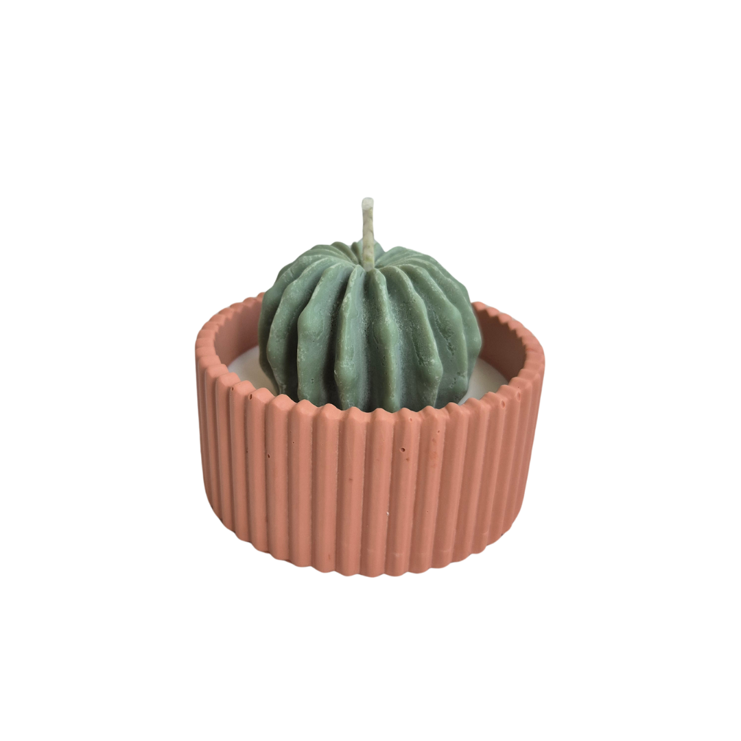 Terra