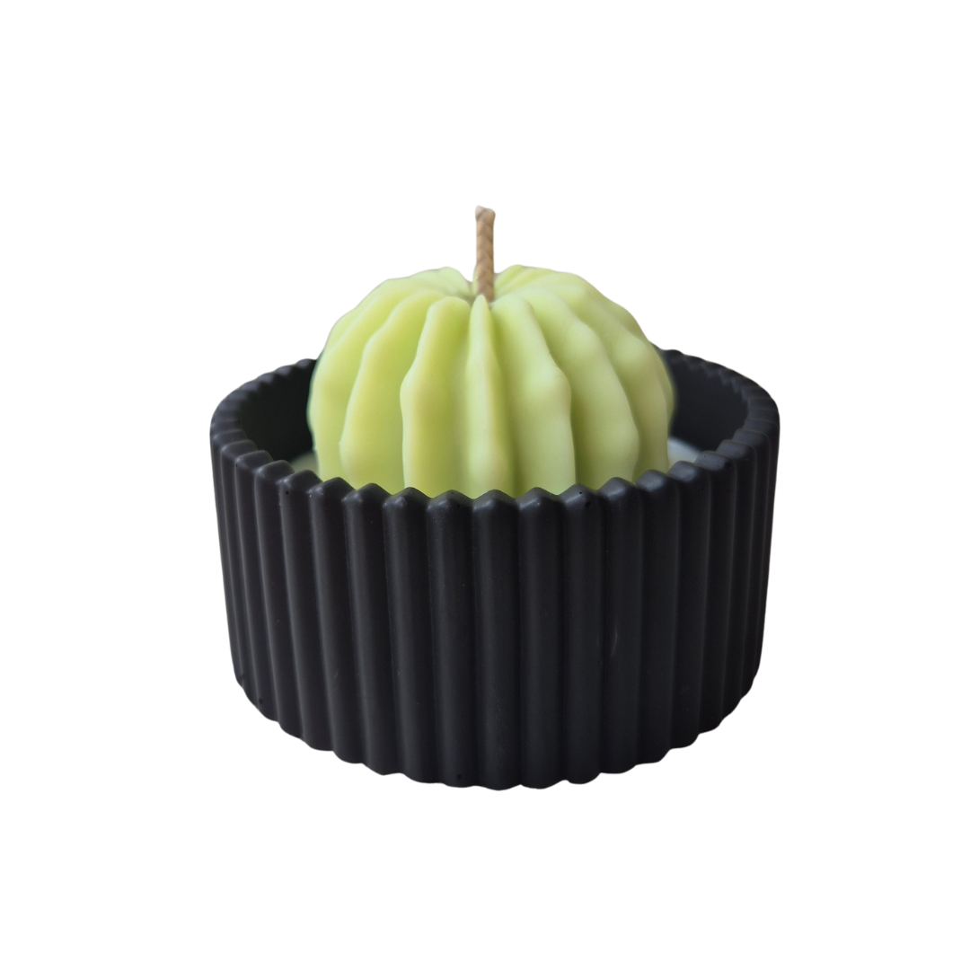 Pistachio