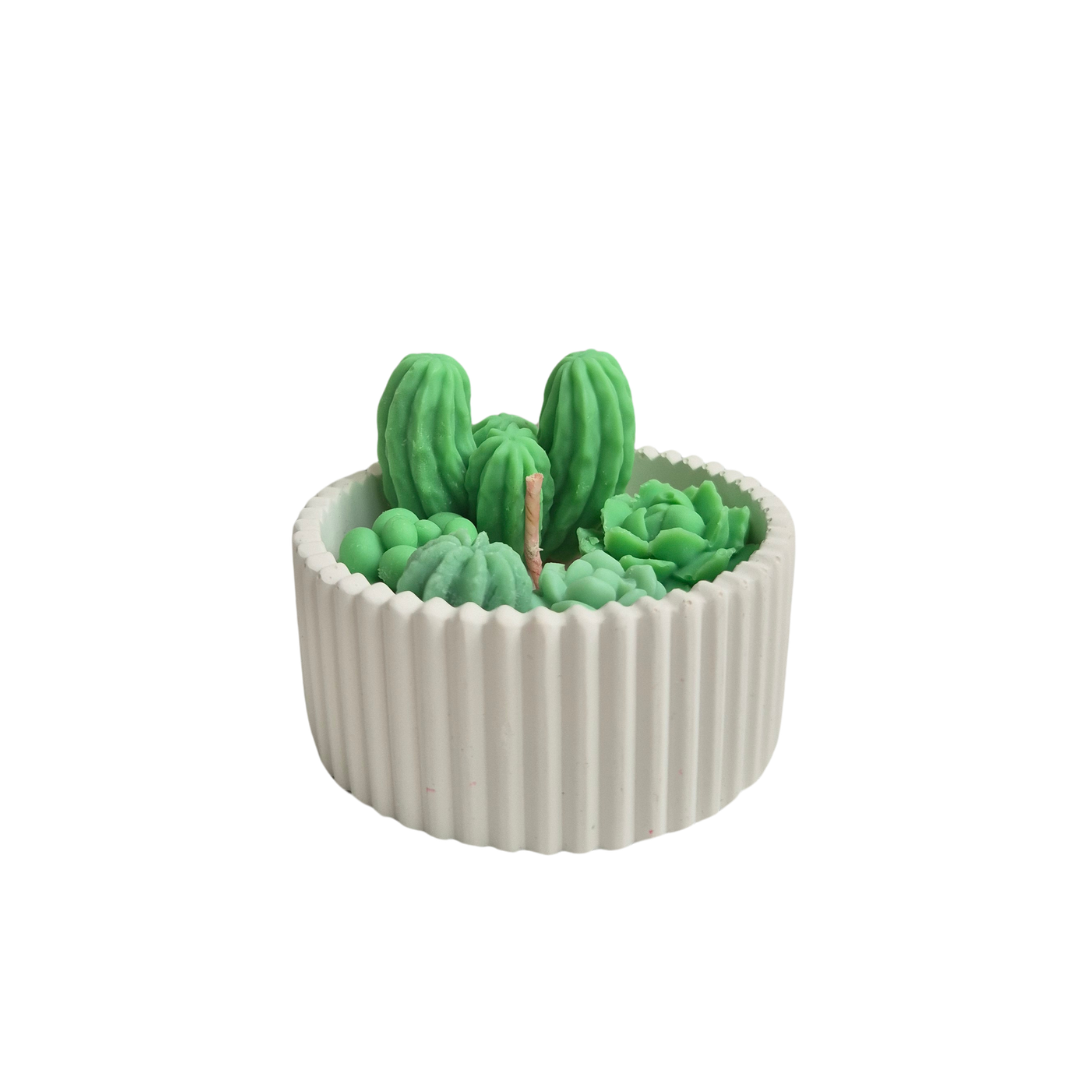 Cactustuinkaars mix