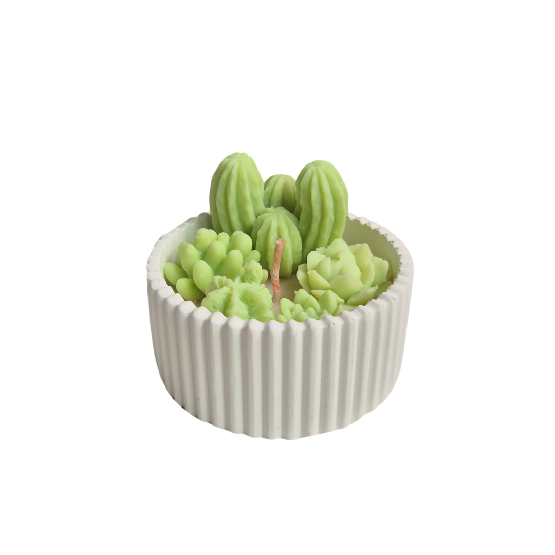 Pistachio
